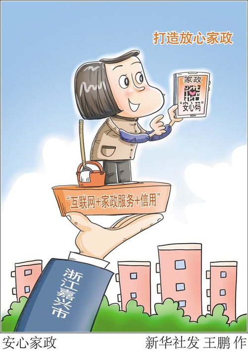 安心家政