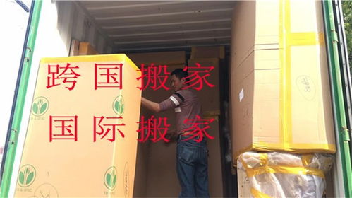 河西区精品搬家打包 省力快捷