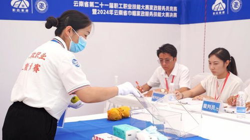 云南省家政服务技能大赛暨家政进社区推广示范活动启动