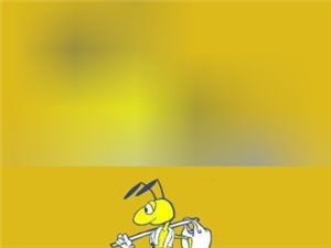 大悟在线