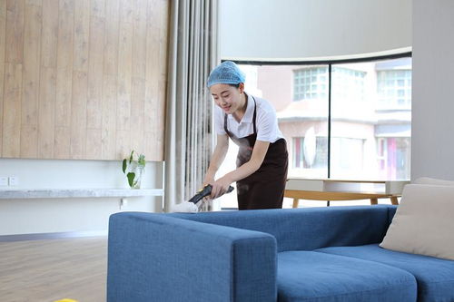 吉林农业大学函授家政学报名指南及家政服务前景分析